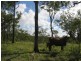 Childers QLD 4660