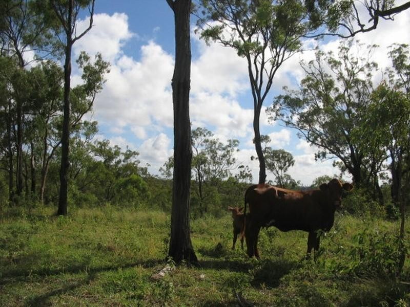 Childers QLD 4660