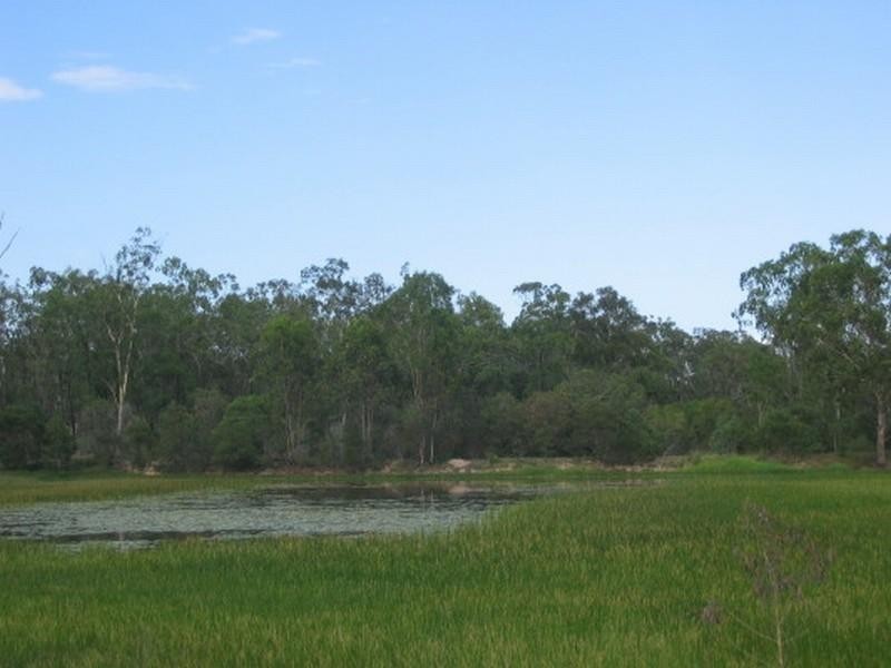 Apple Tree Creek QLD 4660