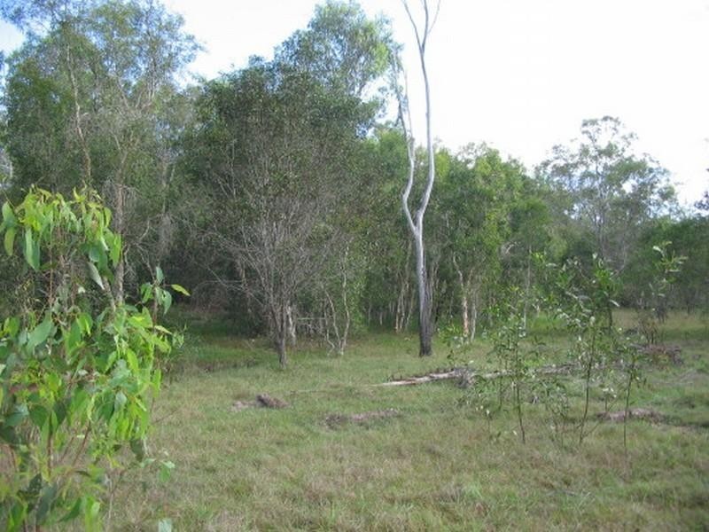 Apple Tree Creek QLD 4660