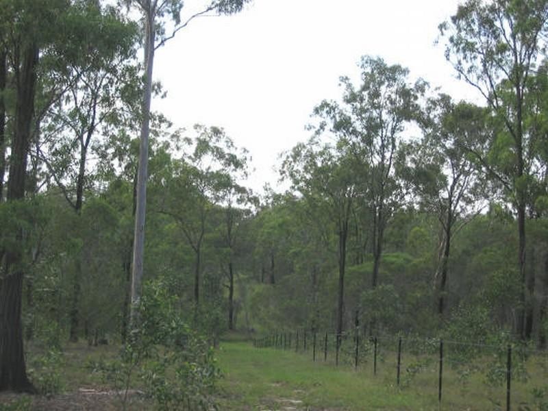 Apple Tree Creek QLD 4660