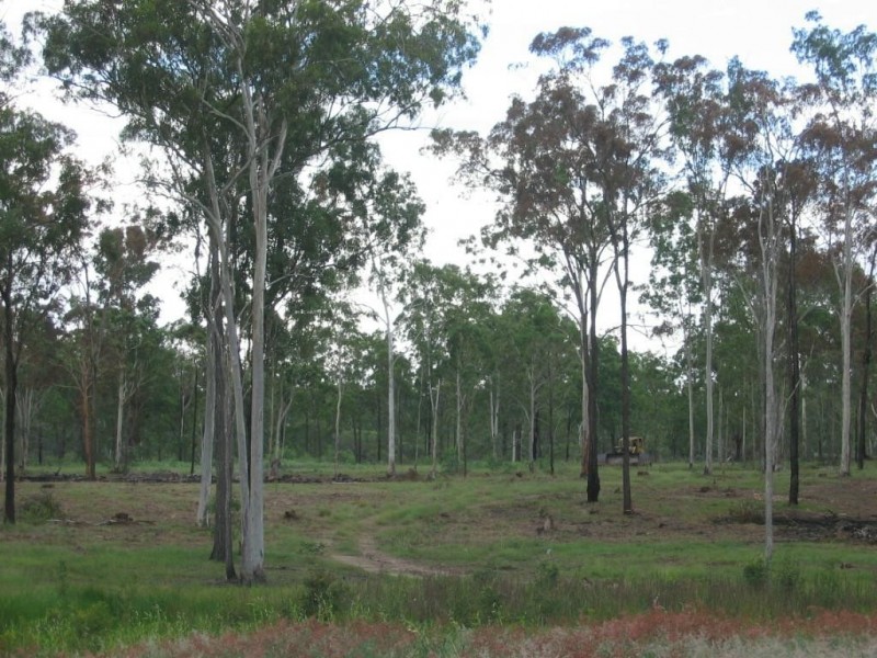 Apple Tree Creek QLD 4660
