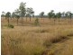 Morganville QLD 4671