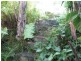 Apple Tree Creek QLD 4660