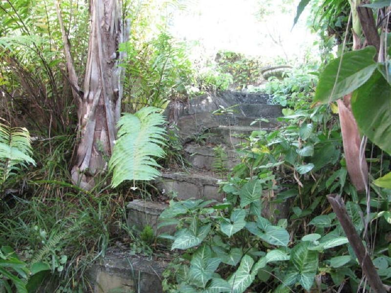 Apple Tree Creek QLD 4660