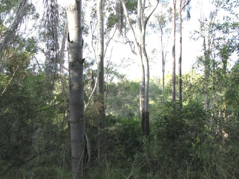 Apple Tree Creek QLD 4660