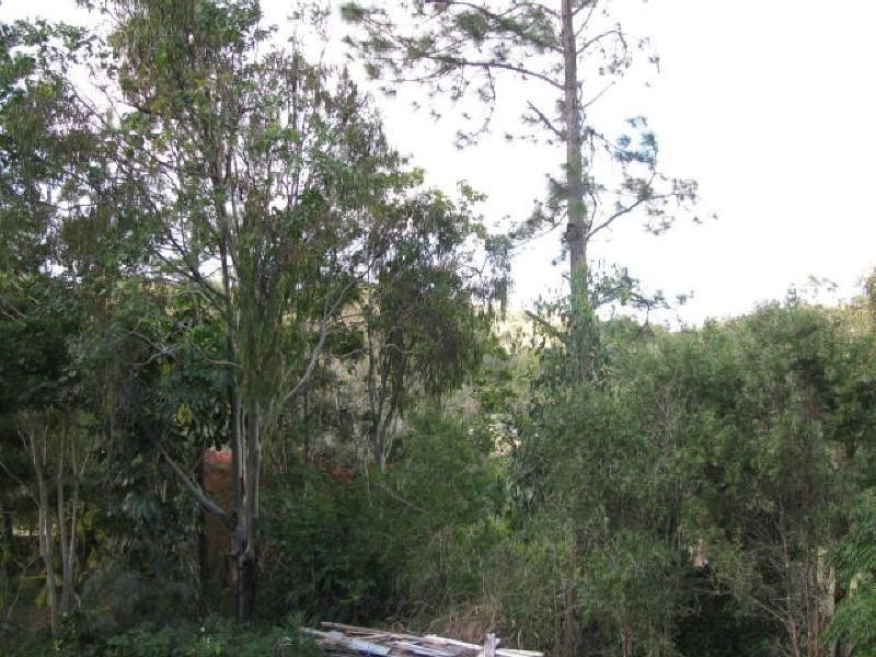 Apple Tree Creek QLD 4660