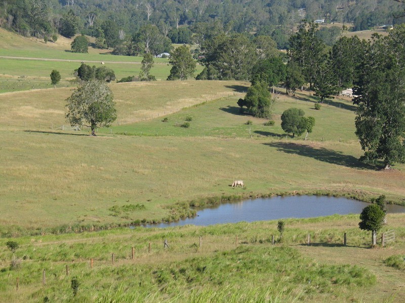 37 Avalon Downs, Dayboro QLD 4521