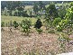 Samsonvale QLD 4520