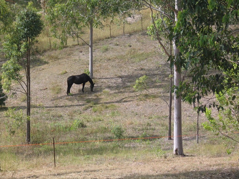 Samsonvale QLD 4520