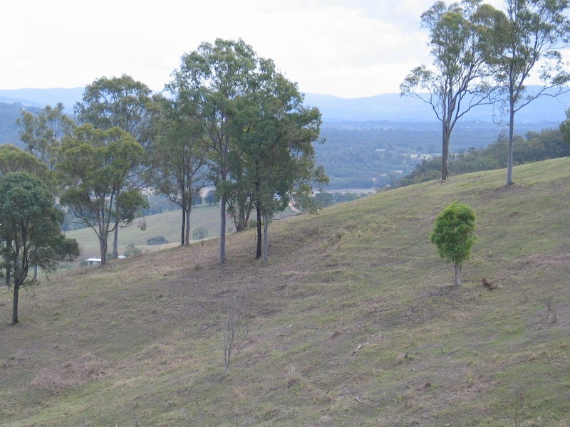 Clear Mountain QLD 4500