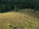 Samsonvale QLD 4520