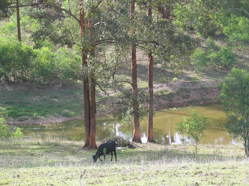 Dayboro QLD 4521