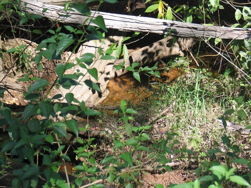 Kobble Creek QLD 4520