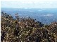 Ocean View QLD 4521