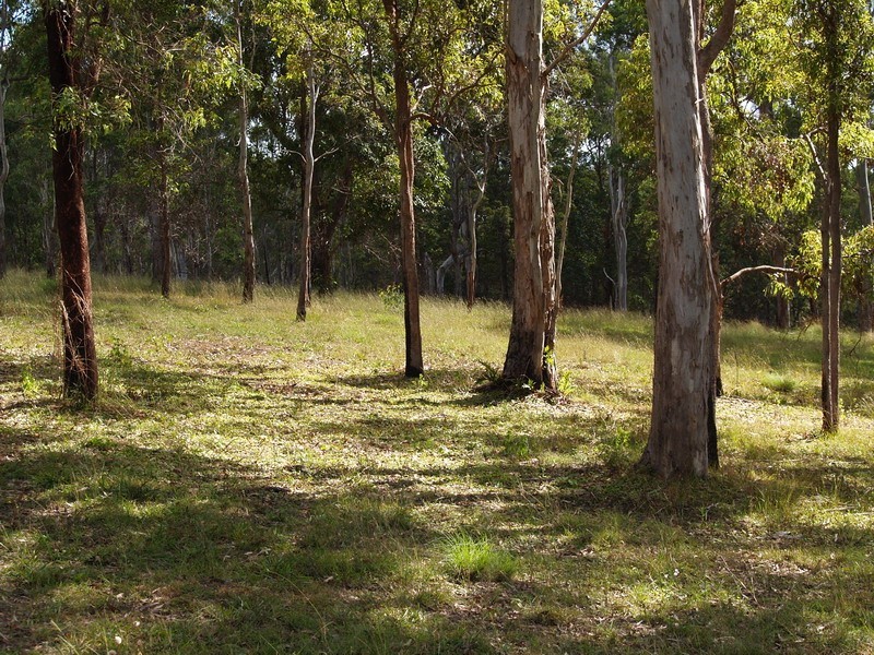 Lots 16,17 Grandview Drive (Off Ocean View Rd), Ocean View QLD 4521