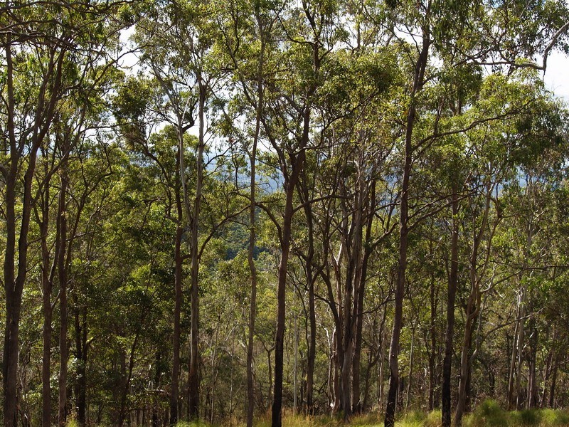 Lots 16,17 Grandview Drive (Off Ocean View Rd), Ocean View QLD 4521