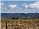 Ocean View QLD 4521