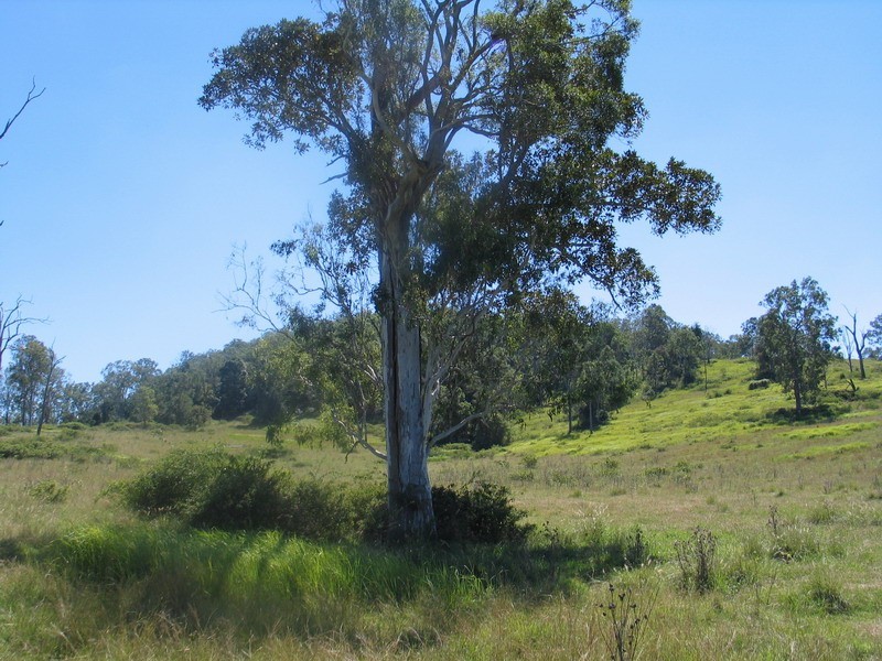 Dayboro QLD 4521