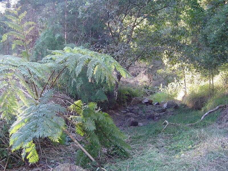 Laceys Creek QLD 4521