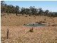 Woodford QLD 4514