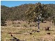 Woodford QLD 4514