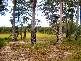 45 Cooroibah Crescent, Tewantin QLD 4565