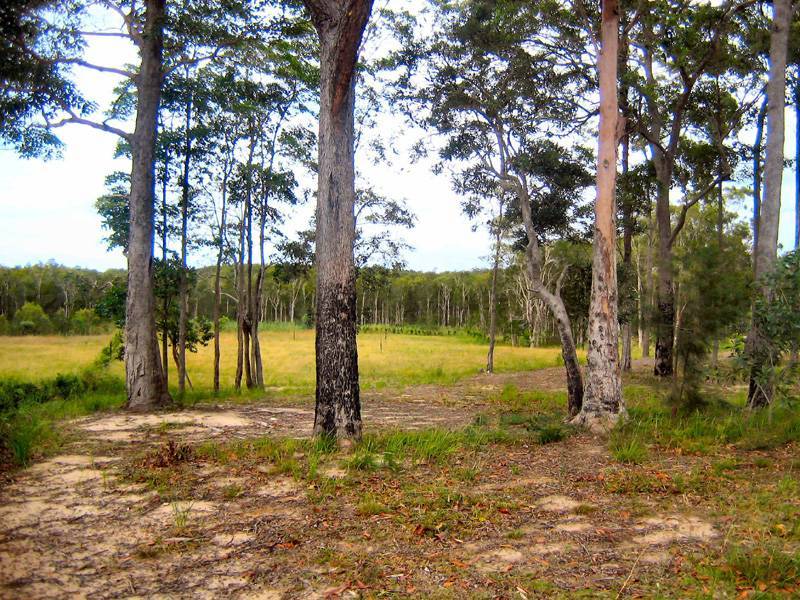 45 Cooroibah Crescent, Tewantin QLD 4565