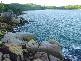 5404 One Bright Point, Magnetic Island QLD 4819