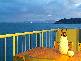 4202 One Bright Point , Magnetic Island QLD 4819