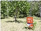 25 Nerita Cresent, Magnetic Island QLD 4819