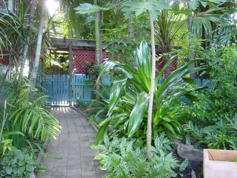 10 Turnbridge Street, Nelly Bay, Magnetic Island QLD 4819