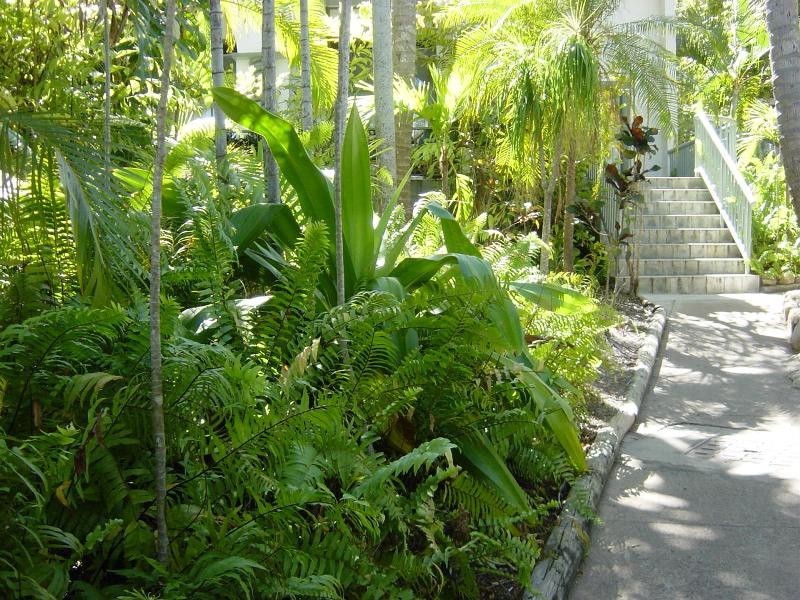 190/61 Mandalay Avenue, Nelly Bay, Magnetic Island QLD 4819