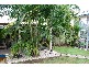 3 Wheaton Court, Nelly Bay, Magnetic Island QLD 4819