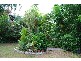 3 Wheaton Court, Nelly Bay, Magnetic Island QLD 4819