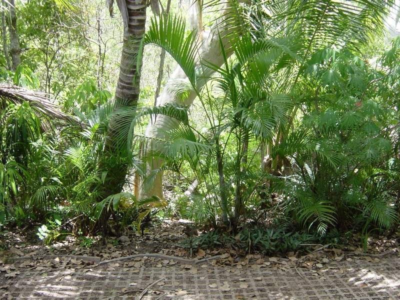 180/61 Mandalay Avenue, Nelly Bay QLD 4819