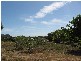 15 Wallaby Way, Horsebay Bay, Magnetic Island QLD 4819