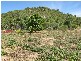 15 Wallaby Way, Horsebay Bay, Magnetic Island QLD 4819
