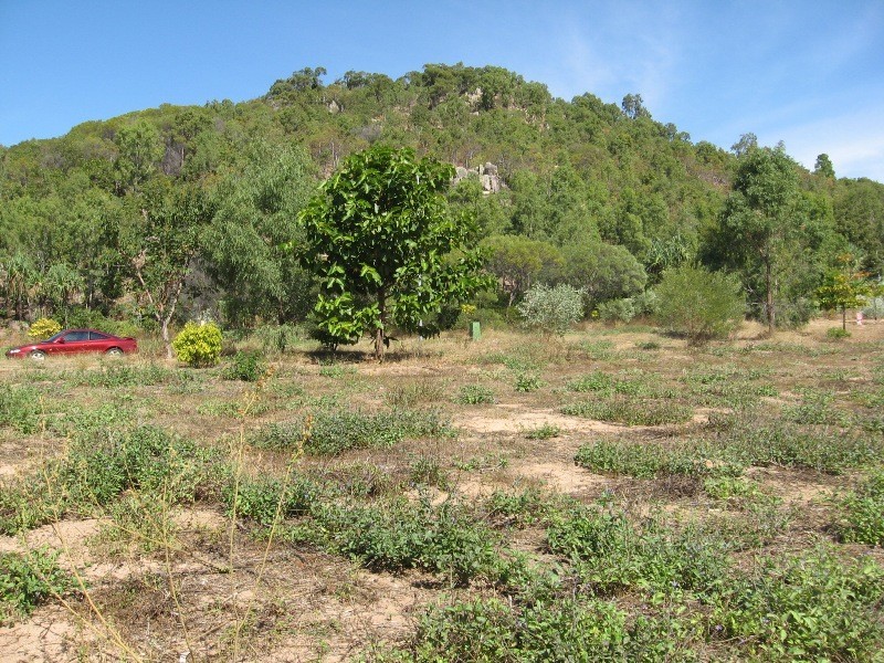 15 Wallaby Way, Horsebay Bay, Magnetic Island QLD 4819