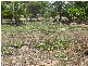 15 Wallaby Way, Horsebay Bay, Magnetic Island QLD 4819