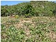 15 Wallaby Way, Horsebay Bay, Magnetic Island QLD 4819