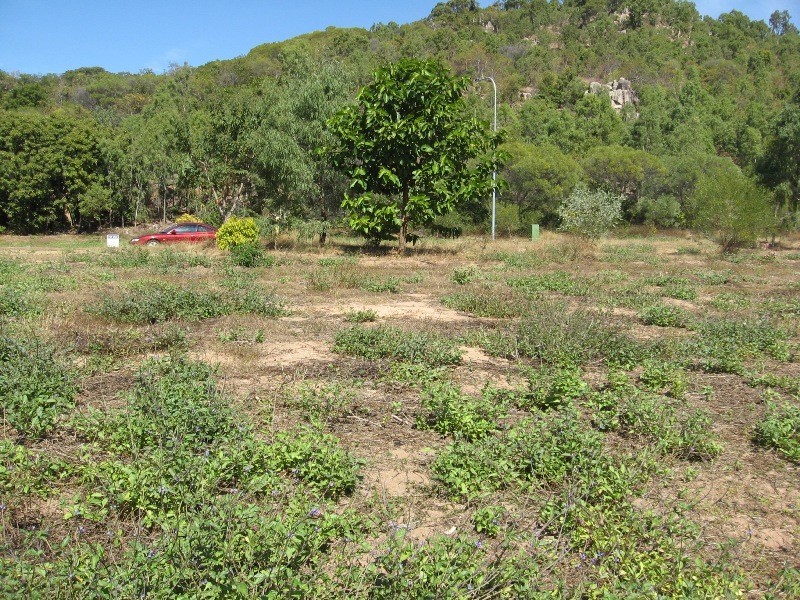 15 Wallaby Way, Horsebay Bay, Magnetic Island QLD 4819