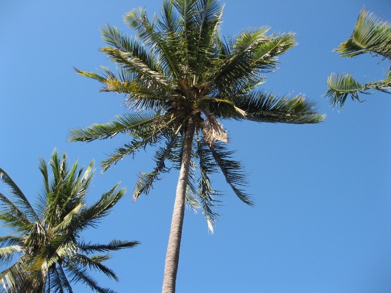 25 Kelly Street, Magnetic Island QLD 4819