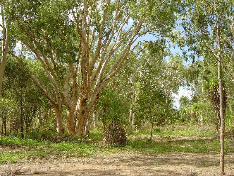 Lot 11 West Point Road, Magnetic Island QLD 4819