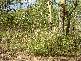 Lot 11 West Point Road, Magnetic Island QLD 4819