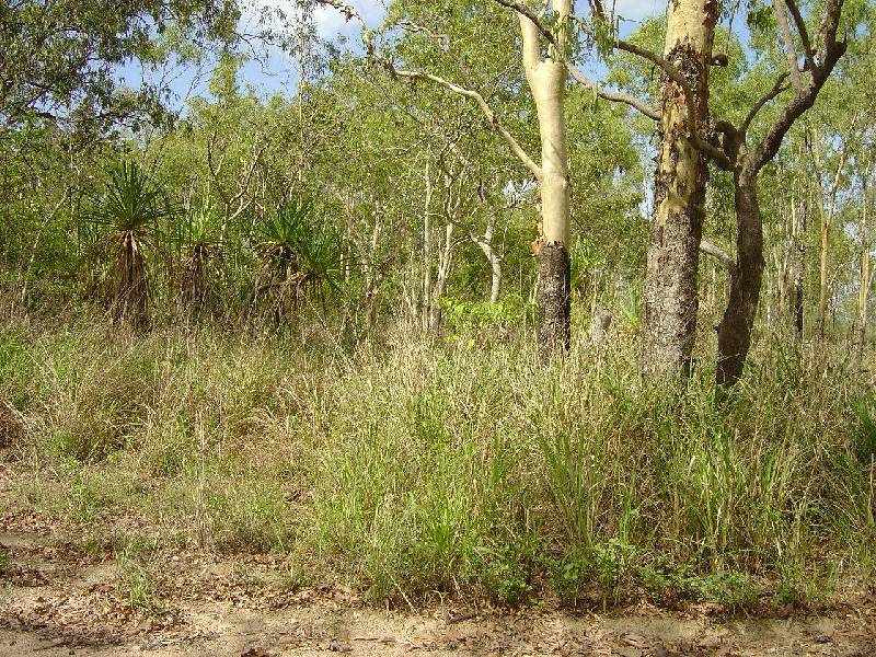 Lot 11 West Point Road, Magnetic Island QLD 4819