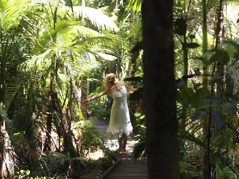 1 Argentea, Palm Cove, Port Douglas QLD 4877