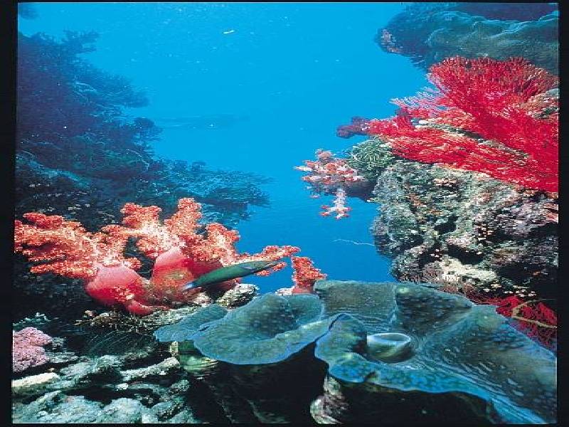 1 Front St, Port Hinchinbrook, Cardwell QLD 4849