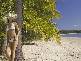 4113 Rydges Sabaya Resort, , Port Douglas QLD 4877