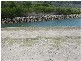 Lot 3, The Moorings on Magnetic, Magnetic Island QLD 4819